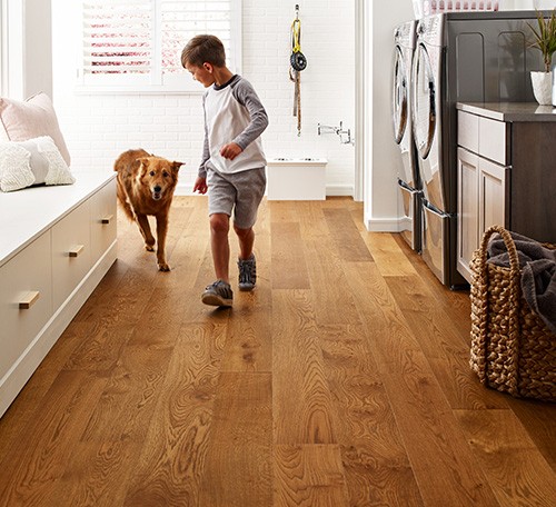 Pet friendly floor | Dary Carpet & Floors