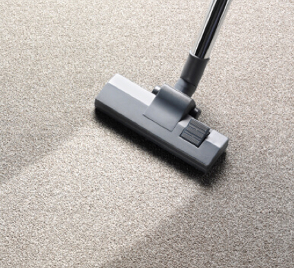 Carpet Care | Dary Carpet & Floors