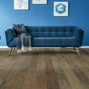 Blue colorwall | Dary Carpet & Floors