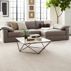 Living room carpet flooring | Dary Carpet & Floors
