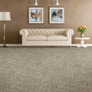Soft comfortable carpet | Dary Carpet & Floors