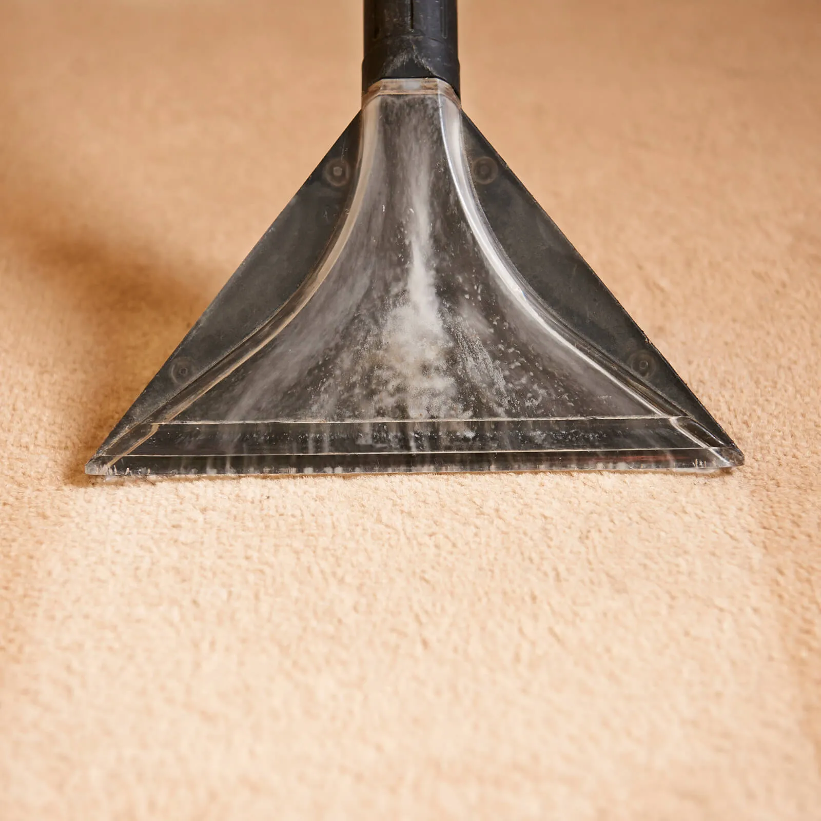 carpet_cleaning2_1600x1600 (2) Carpet care | Dary Carpet & Floors