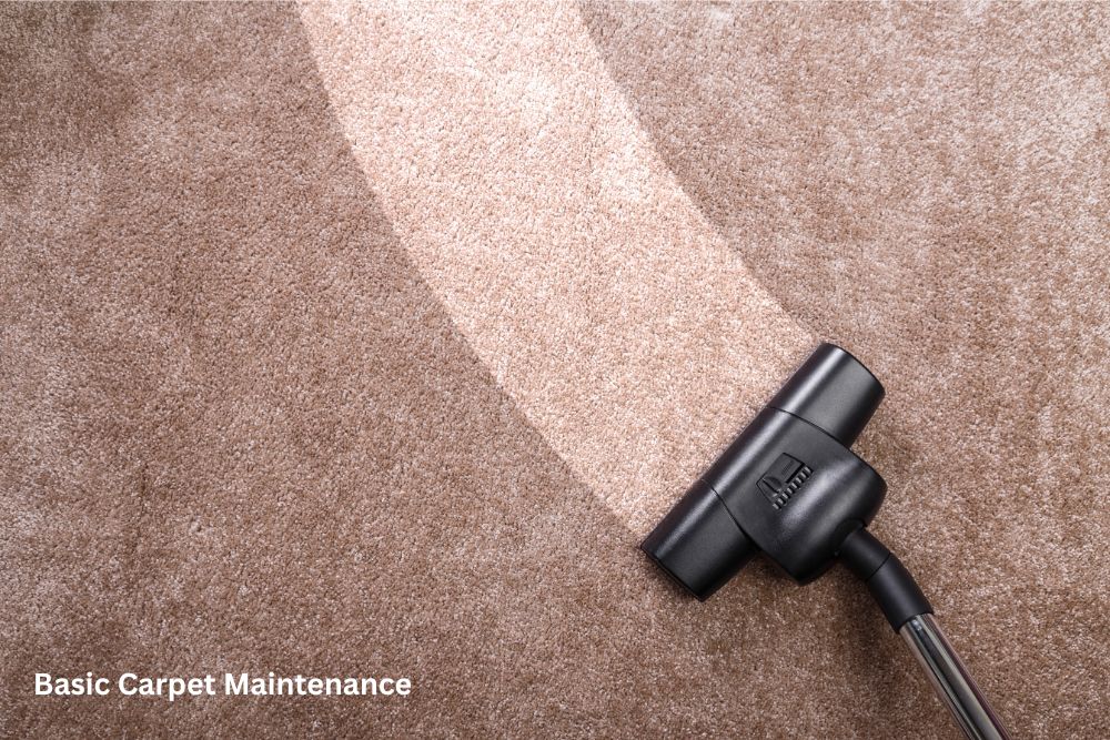 Carpet cleaning | Dary Carpet & Floors