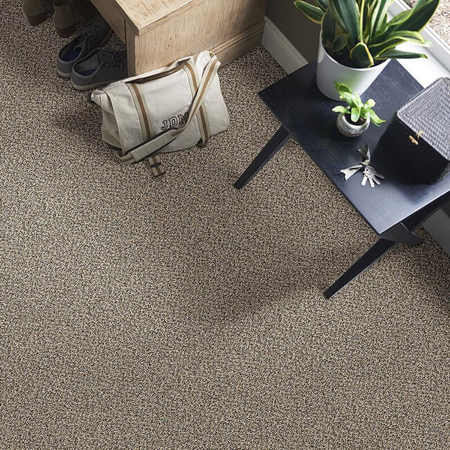 Carpet flooring | Dary Carpet & Floors