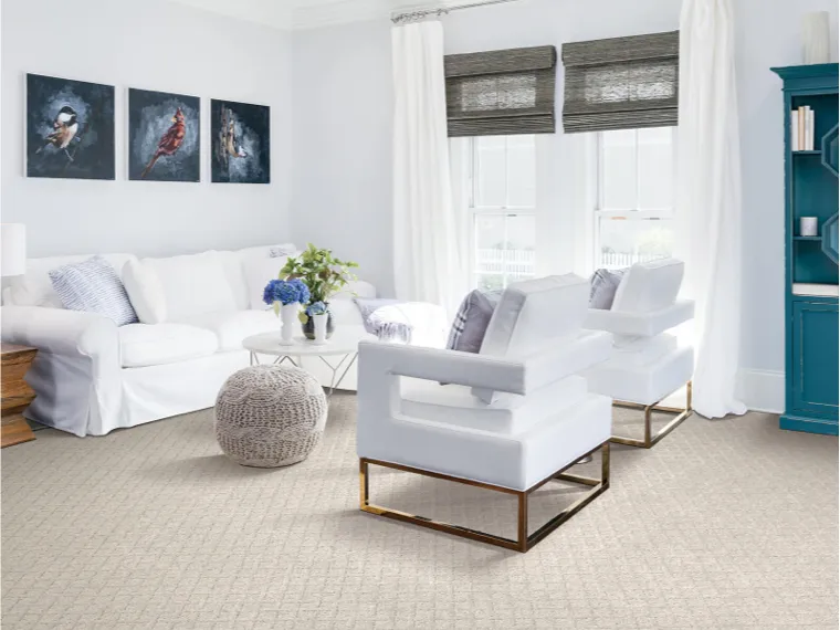 Carpet | Dary Carpet & Floors