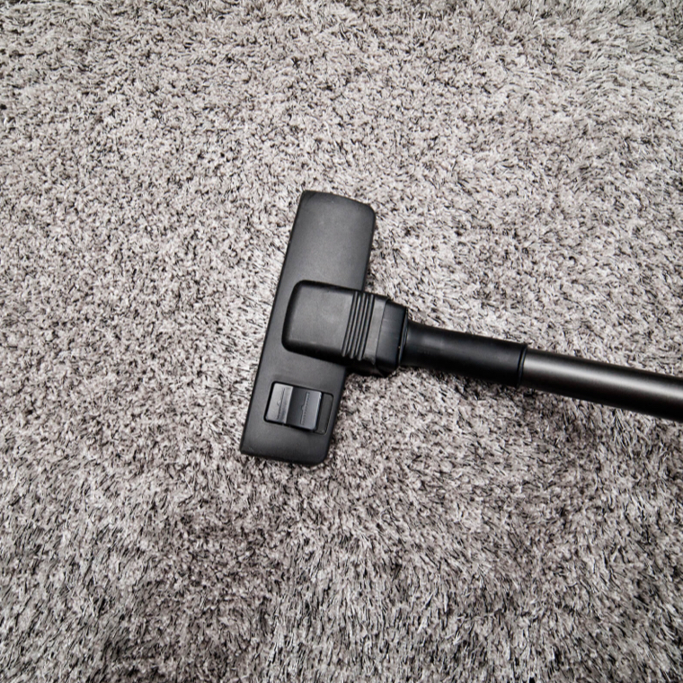 Carpet care | Dary Carpet & Floors